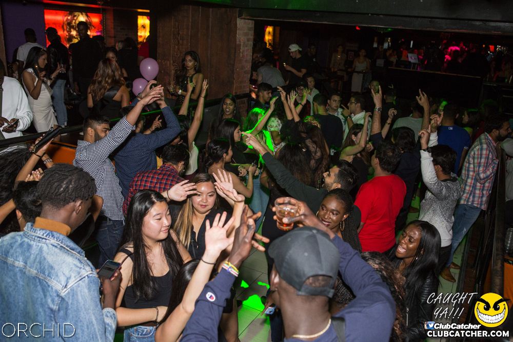 Orchid nightclub photo 135 - September 21st, 2019