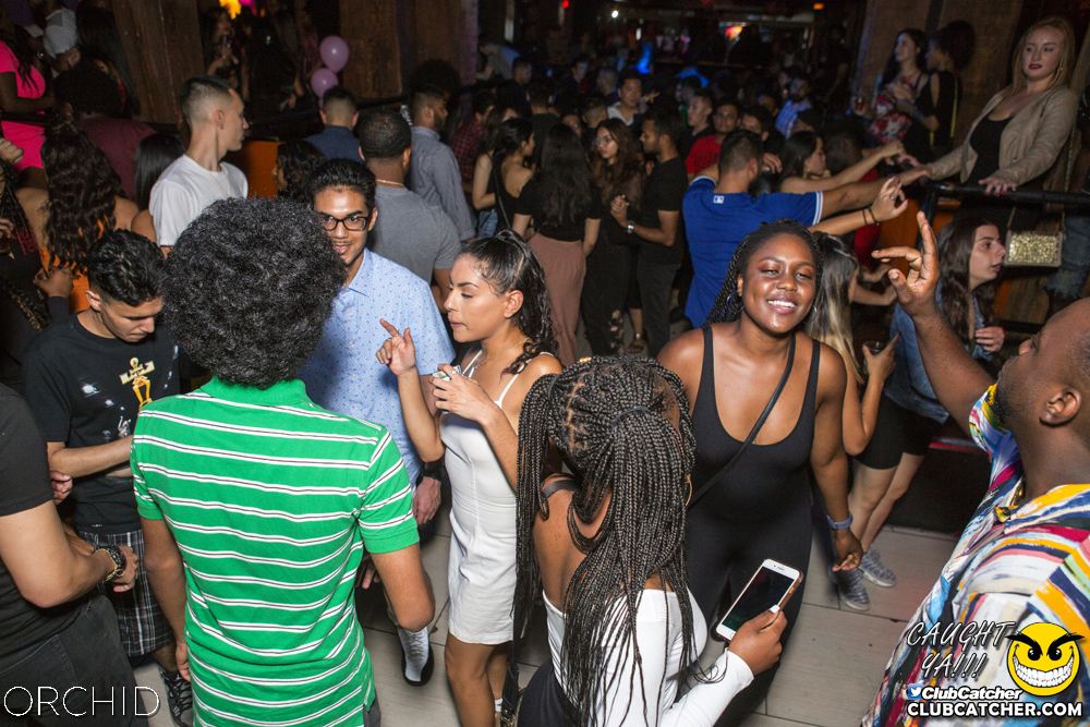 Orchid nightclub photo 16 - September 21st, 2019