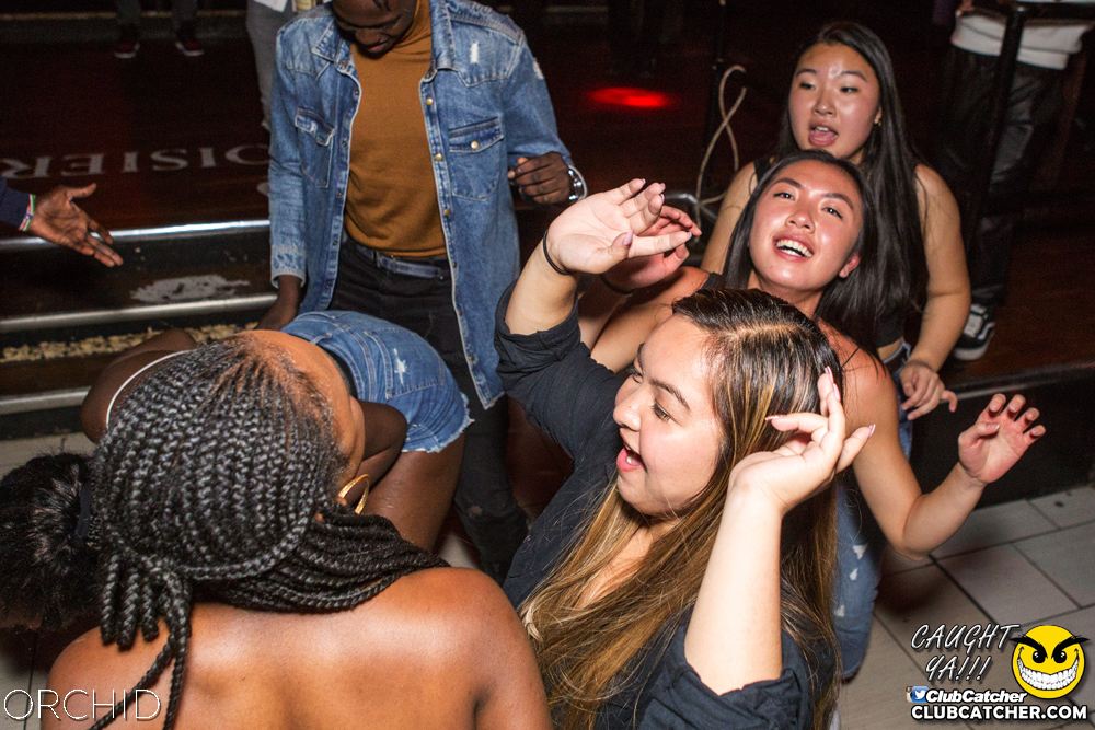 Orchid nightclub photo 23 - September 21st, 2019