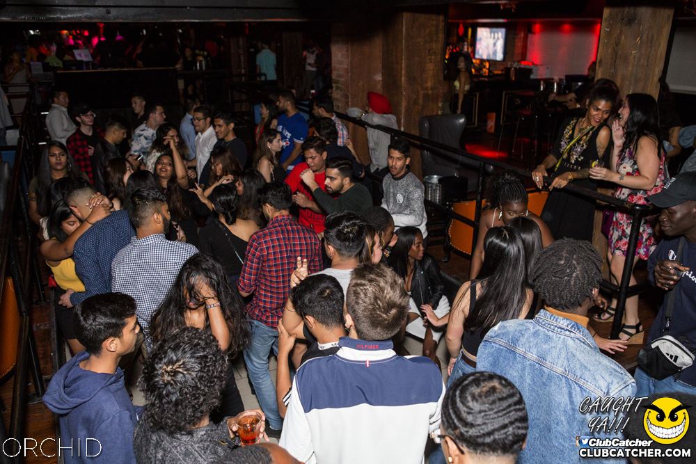 Orchid nightclub photo 24 - September 21st, 2019