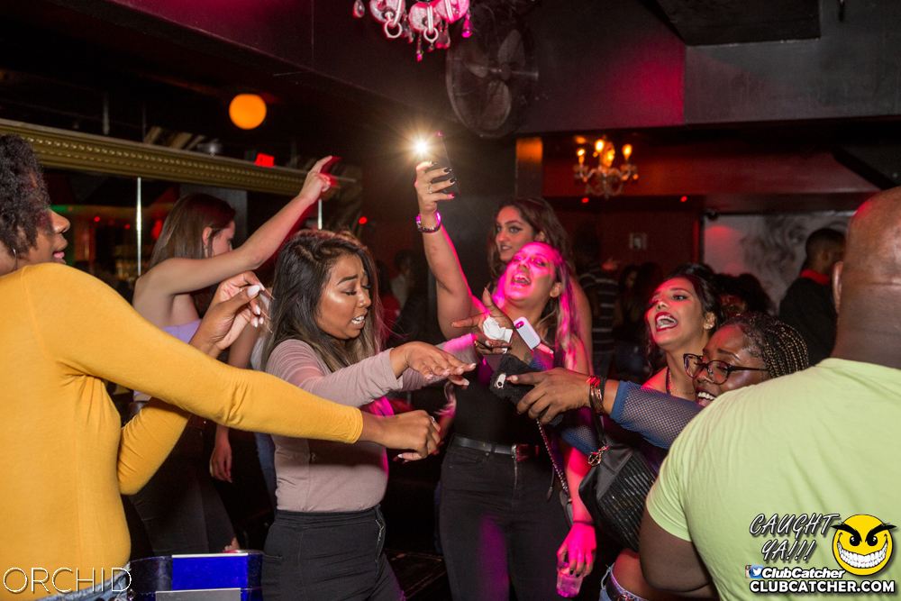 Orchid nightclub photo 25 - September 21st, 2019