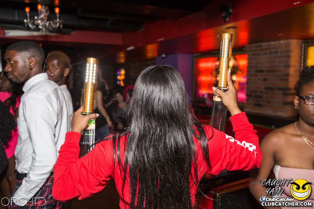 Orchid nightclub photo 26 - September 21st, 2019