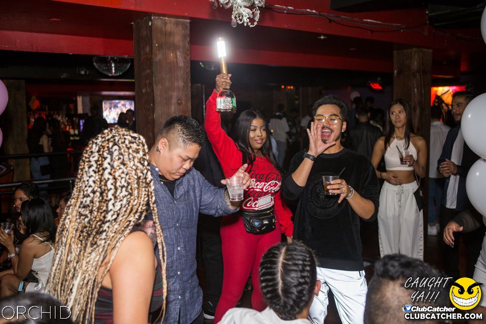 Orchid nightclub photo 30 - September 21st, 2019