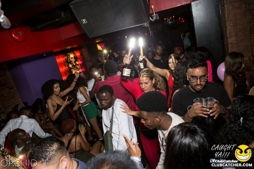 Orchid nightclub photo 31 - September 21st, 2019