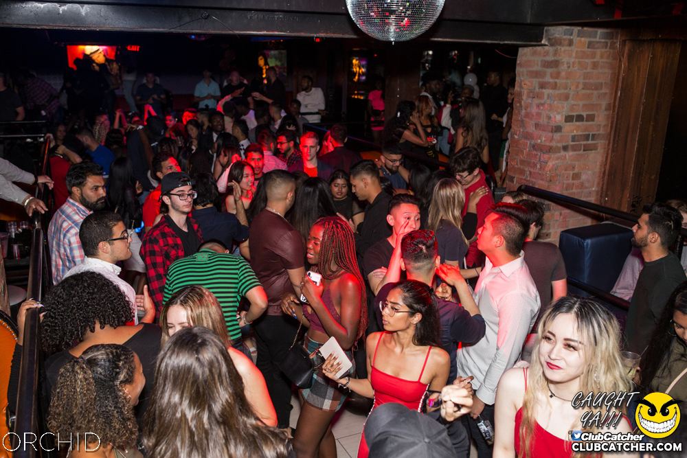 Orchid nightclub photo 33 - September 21st, 2019