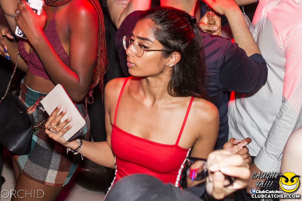 Orchid nightclub photo 34 - September 21st, 2019