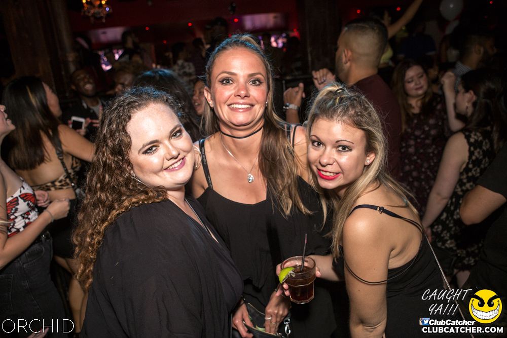 Orchid nightclub photo 35 - September 21st, 2019