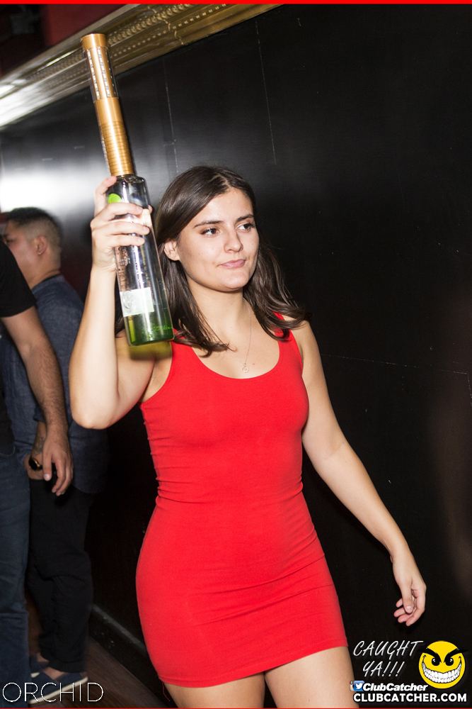 Orchid nightclub photo 38 - September 21st, 2019