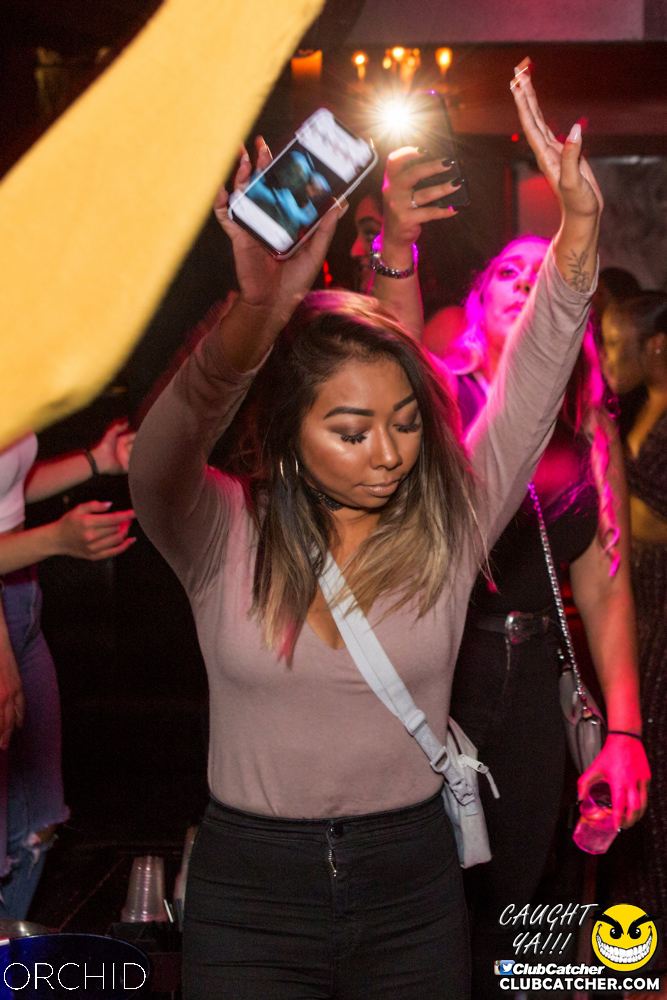 Orchid nightclub photo 42 - September 21st, 2019