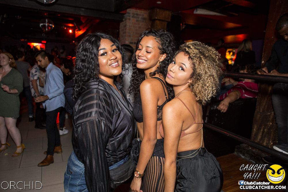 Orchid nightclub photo 47 - September 21st, 2019