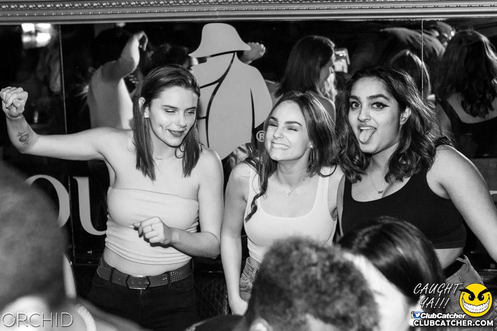 Orchid nightclub photo 51 - September 21st, 2019
