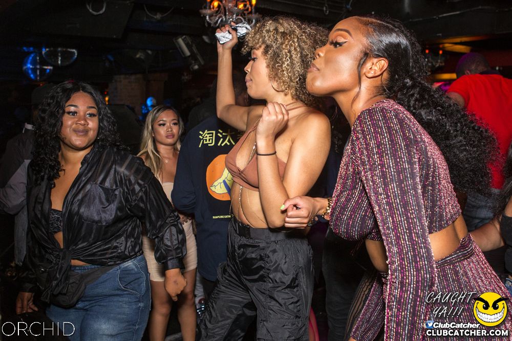 Orchid nightclub photo 56 - September 21st, 2019