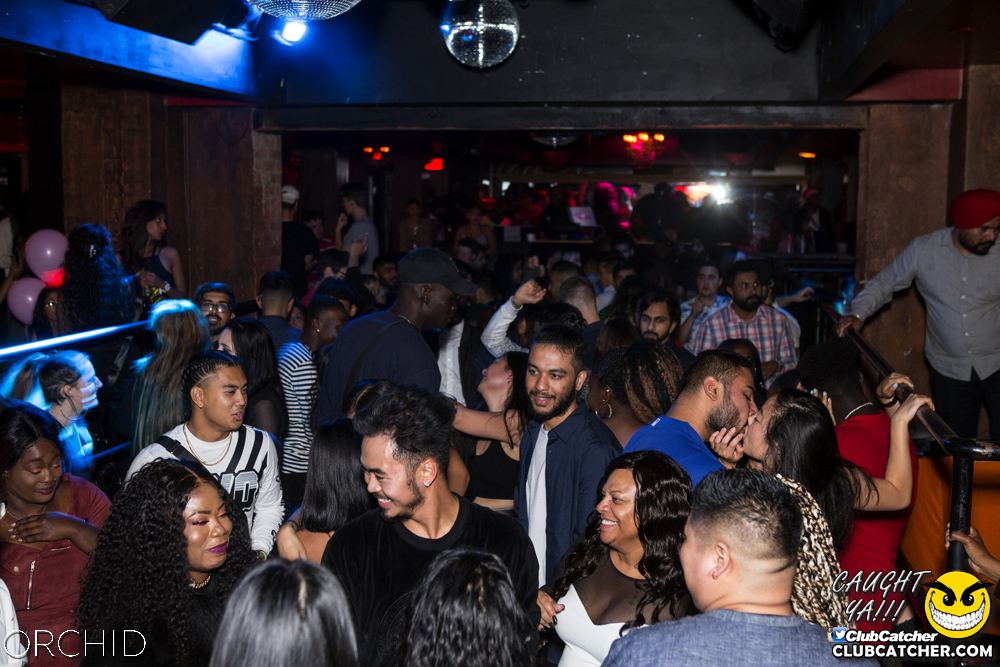Orchid nightclub photo 58 - September 21st, 2019