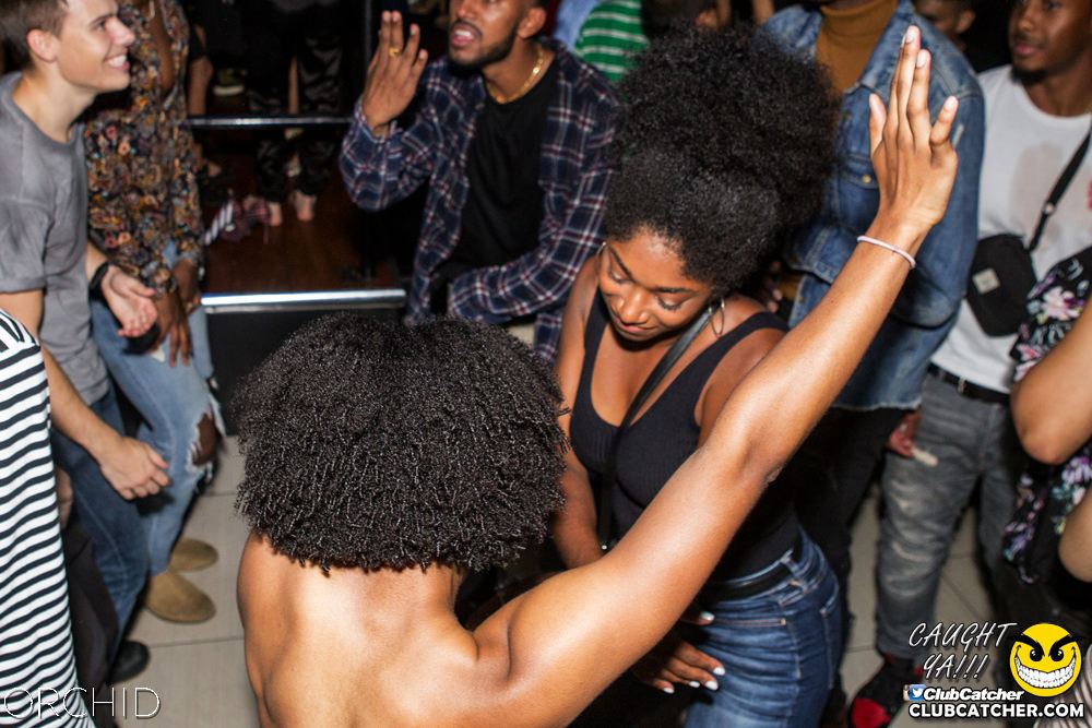 Orchid nightclub photo 59 - September 21st, 2019