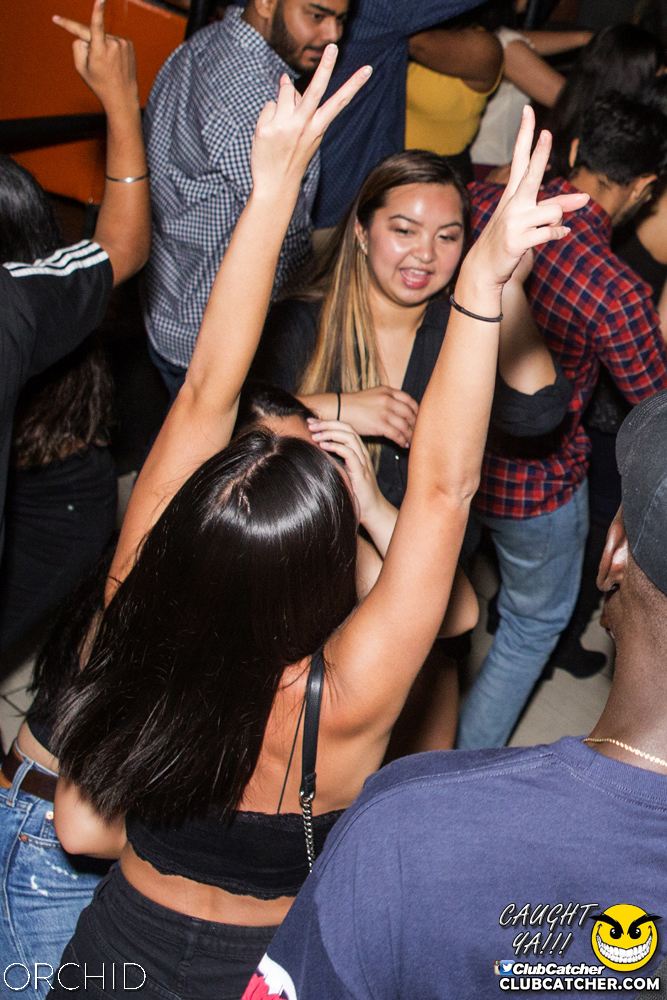Orchid nightclub photo 61 - September 21st, 2019