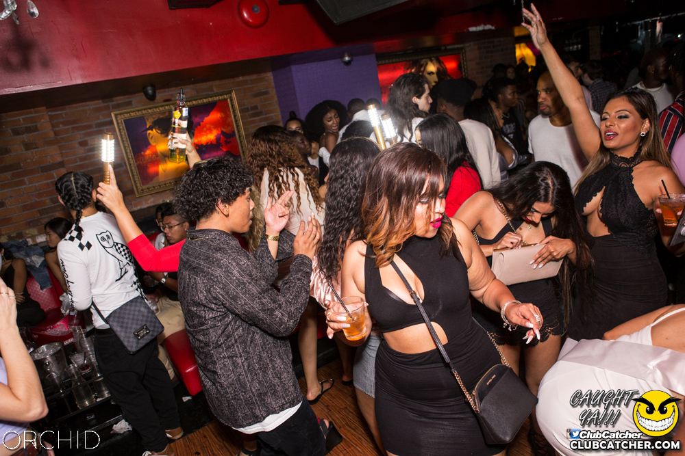 Orchid nightclub photo 65 - September 21st, 2019
