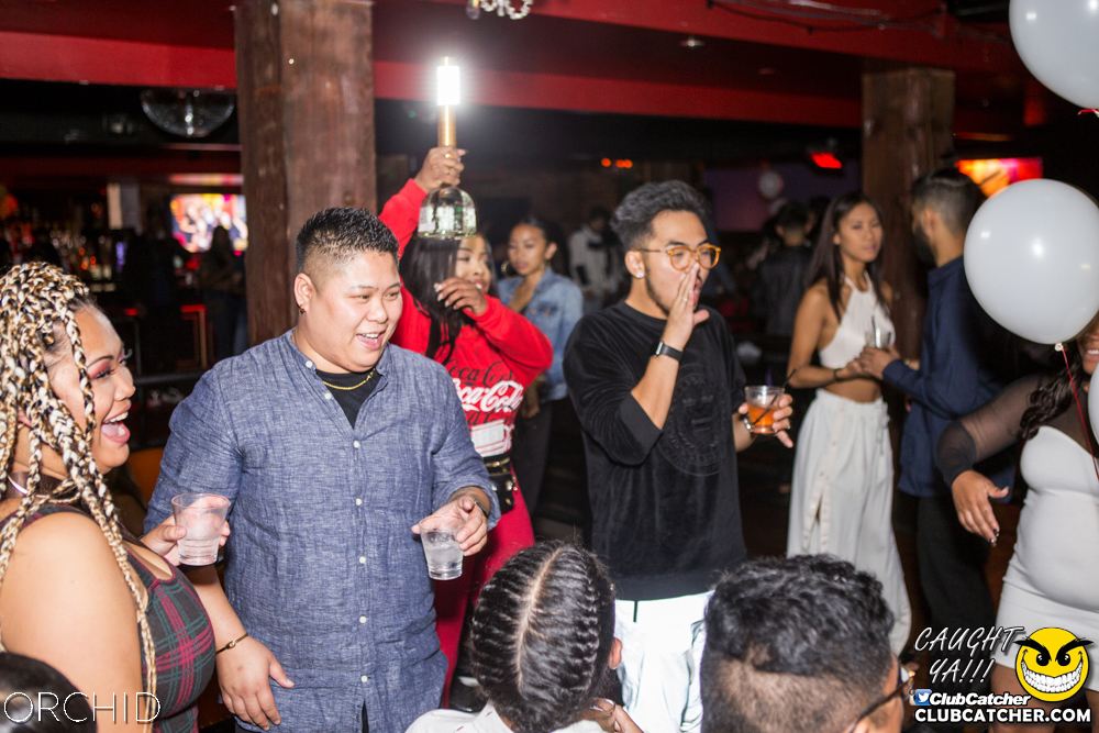 Orchid nightclub photo 67 - September 21st, 2019