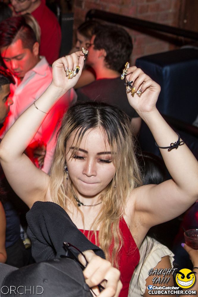 Orchid nightclub photo 73 - September 21st, 2019