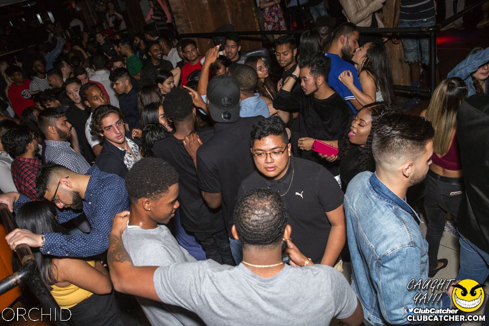Orchid nightclub photo 74 - September 21st, 2019