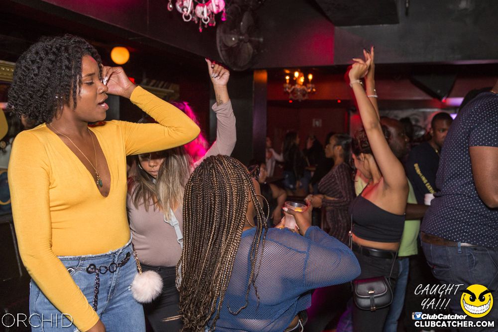 Orchid nightclub photo 77 - September 21st, 2019