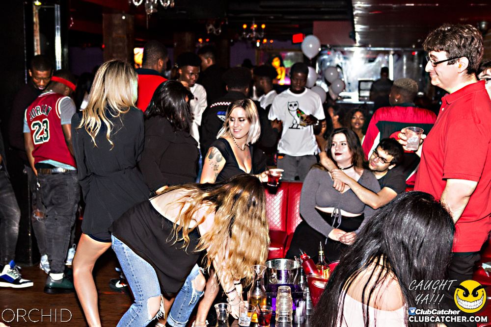 Orchid nightclub photo 78 - September 21st, 2019