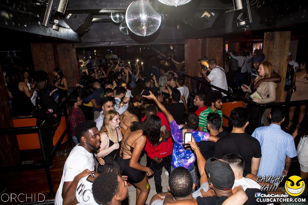 Orchid nightclub photo 80 - September 21st, 2019