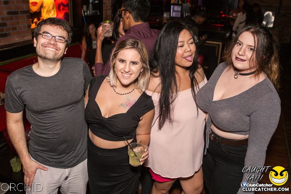 Orchid nightclub photo 81 - September 21st, 2019