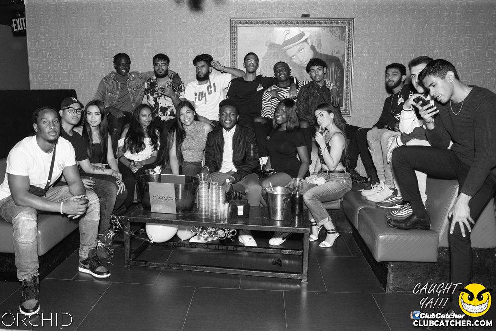 Orchid nightclub photo 82 - September 21st, 2019