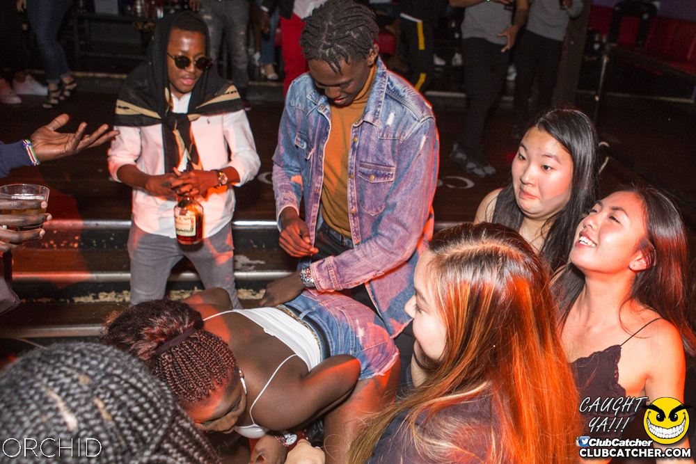 Orchid nightclub photo 83 - September 21st, 2019