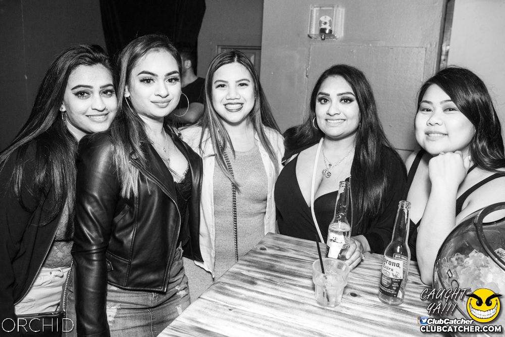 Orchid nightclub photo 89 - September 21st, 2019