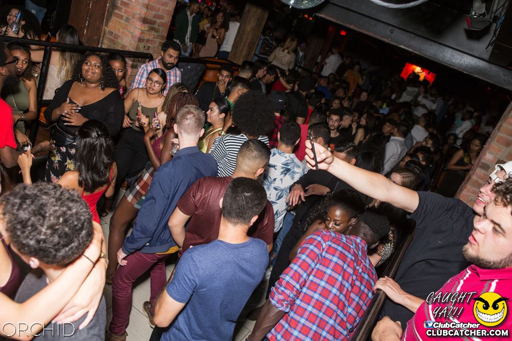 Orchid nightclub photo 95 - September 21st, 2019
