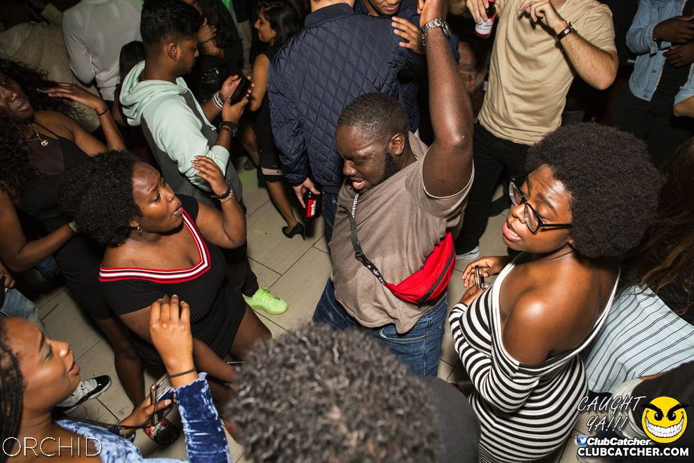 Orchid nightclub photo 133 - September 28th, 2019