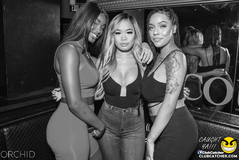 Orchid nightclub photo 134 - September 28th, 2019