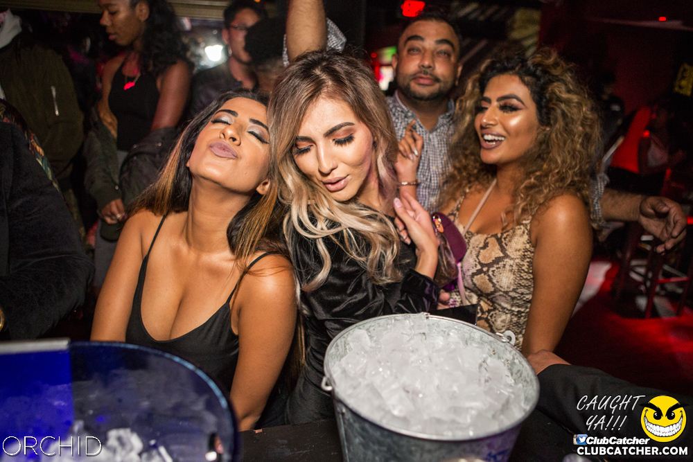 Orchid nightclub photo 20 - September 28th, 2019