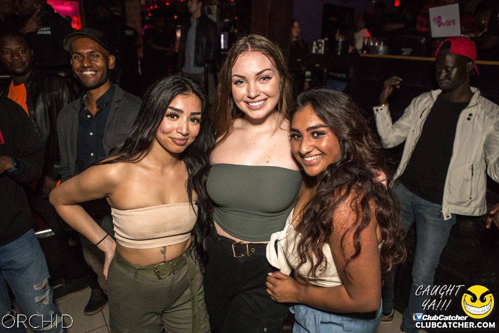 Orchid nightclub photo 3 - September 28th, 2019