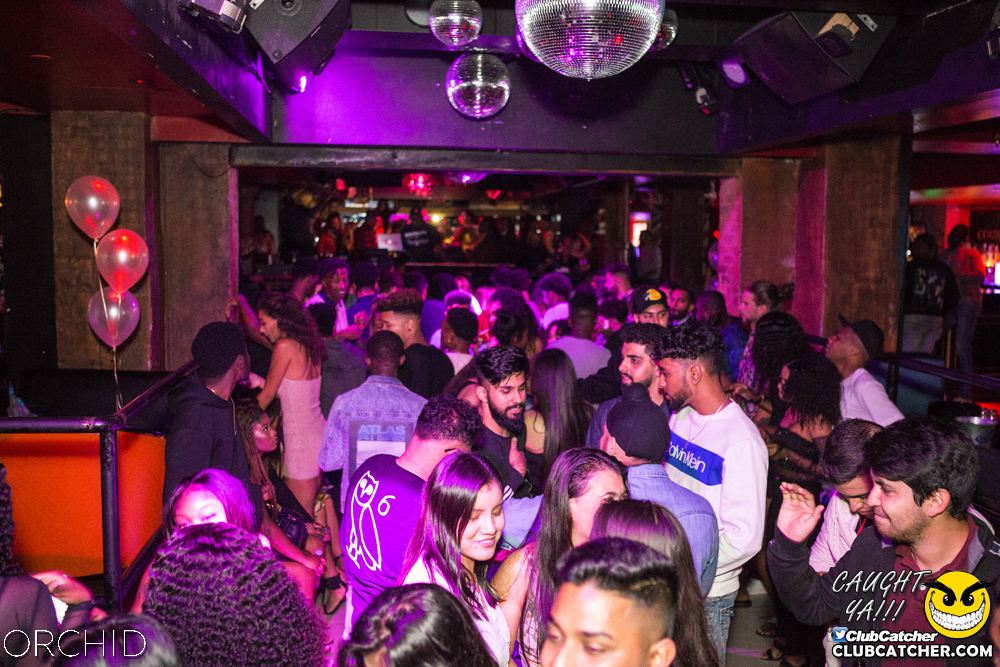 Orchid nightclub photo 25 - September 28th, 2019