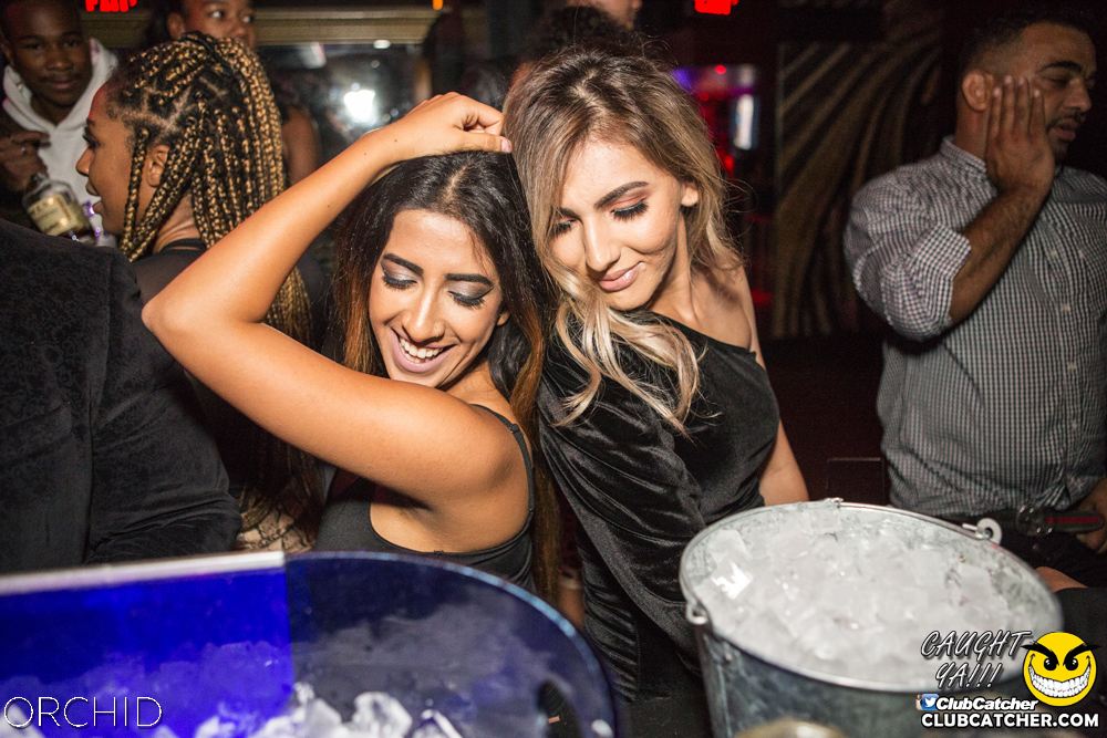 Orchid nightclub photo 4 - September 28th, 2019
