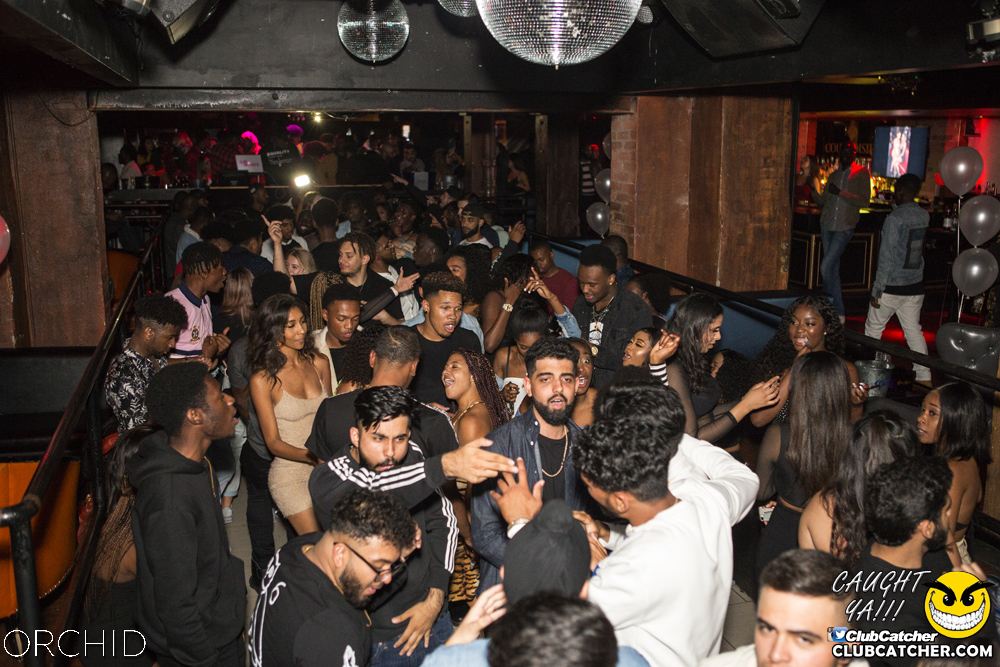 Orchid nightclub photo 34 - September 28th, 2019