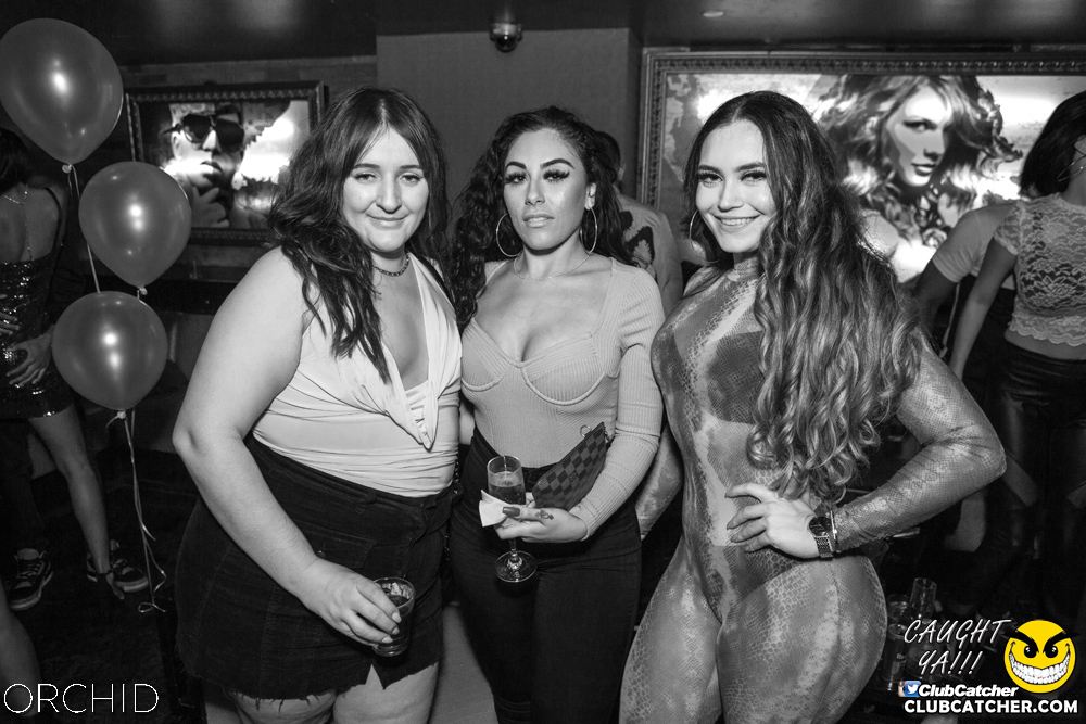 Orchid nightclub photo 36 - September 28th, 2019