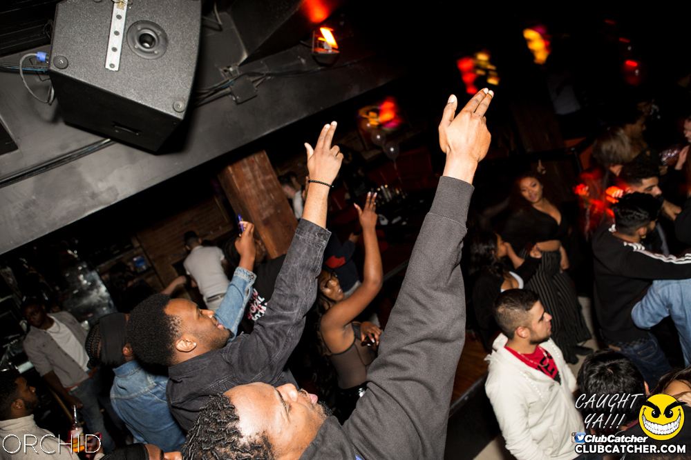 Orchid nightclub photo 48 - September 28th, 2019