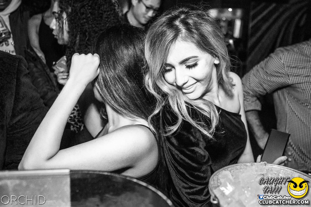 Orchid nightclub photo 51 - September 28th, 2019