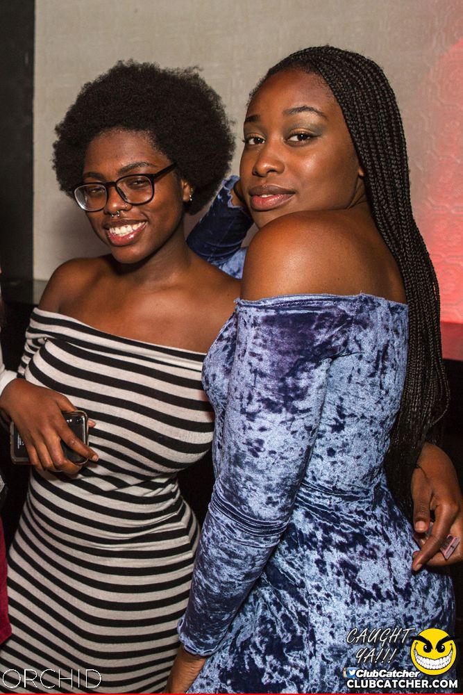 Orchid nightclub photo 55 - September 28th, 2019