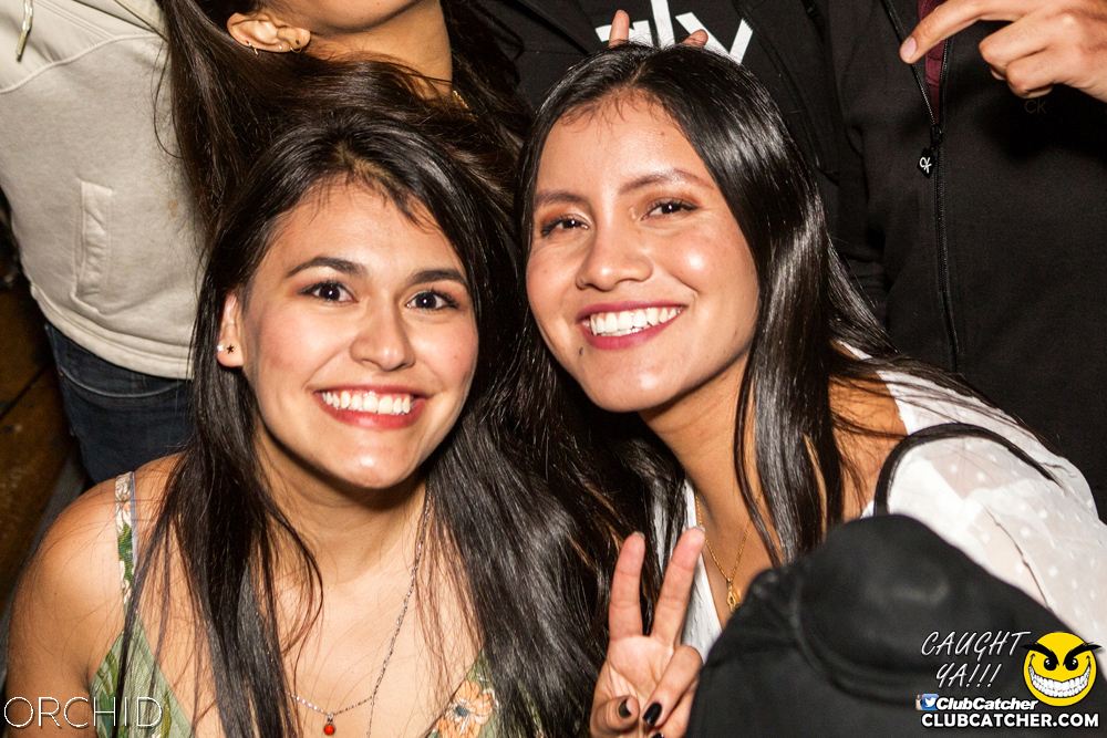 Orchid nightclub photo 59 - September 28th, 2019