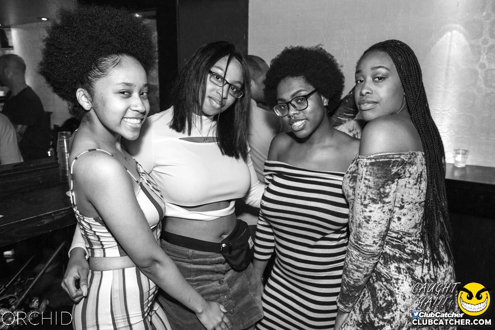 Orchid nightclub photo 62 - September 28th, 2019