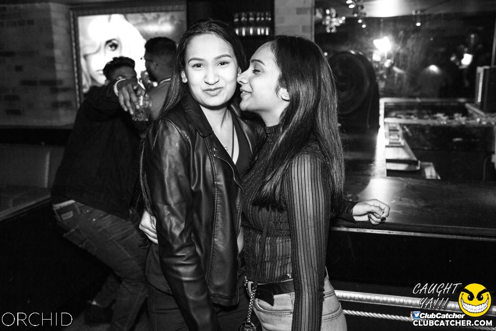 Orchid nightclub photo 64 - September 28th, 2019