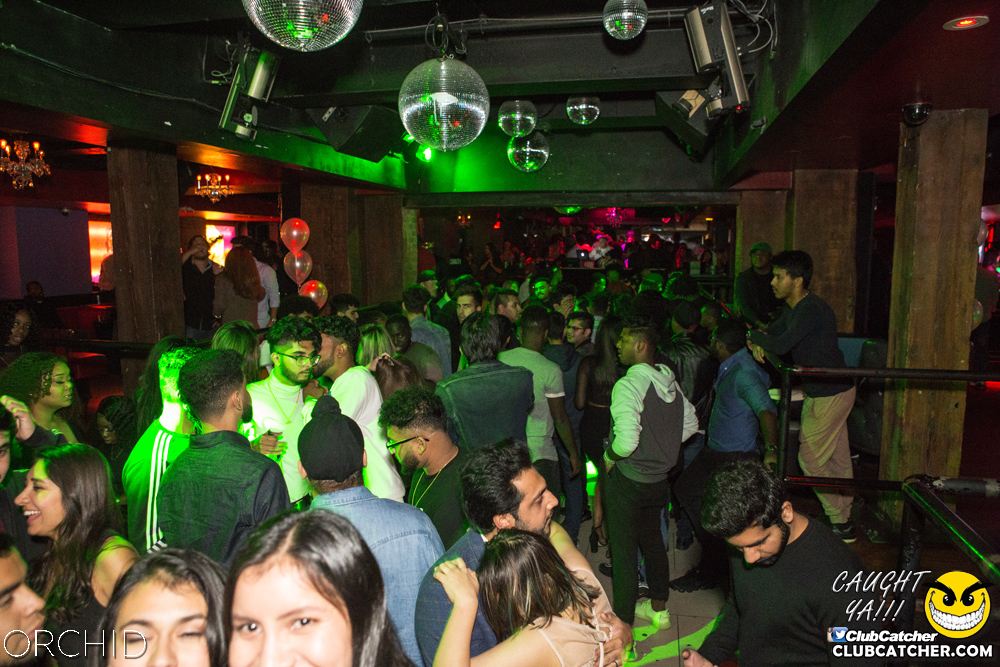 Orchid nightclub photo 65 - September 28th, 2019