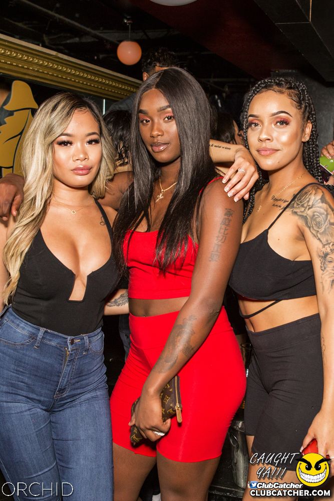 Orchid nightclub photo 68 - September 28th, 2019