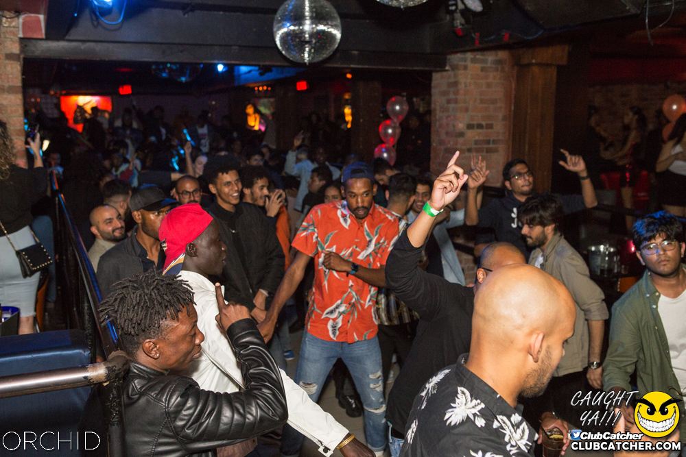 Orchid nightclub photo 69 - September 28th, 2019