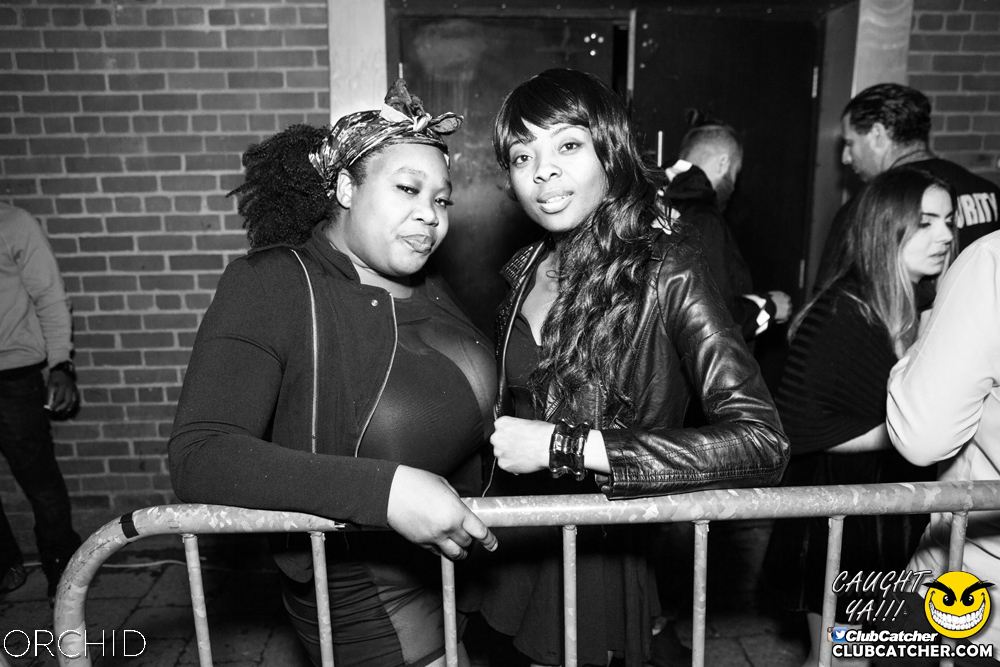 Orchid nightclub photo 76 - September 28th, 2019