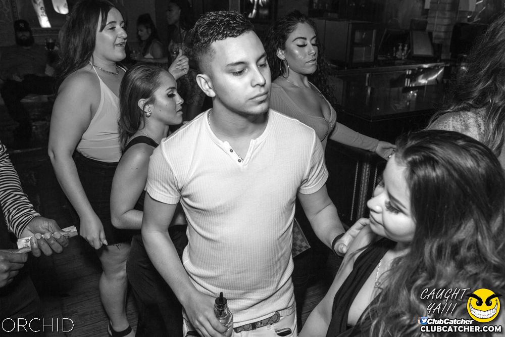 Orchid nightclub photo 77 - September 28th, 2019